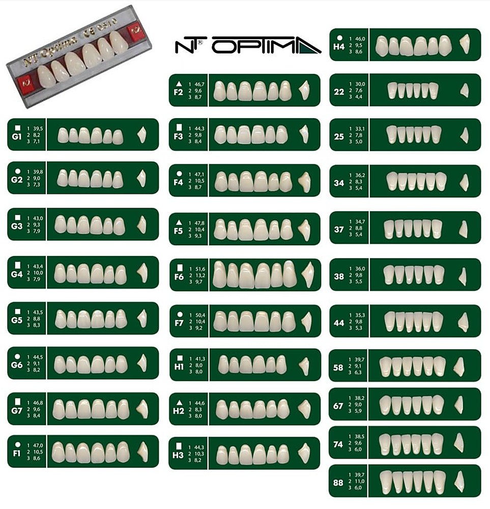 Dientes Nt Optima 3 Capas Set X 28